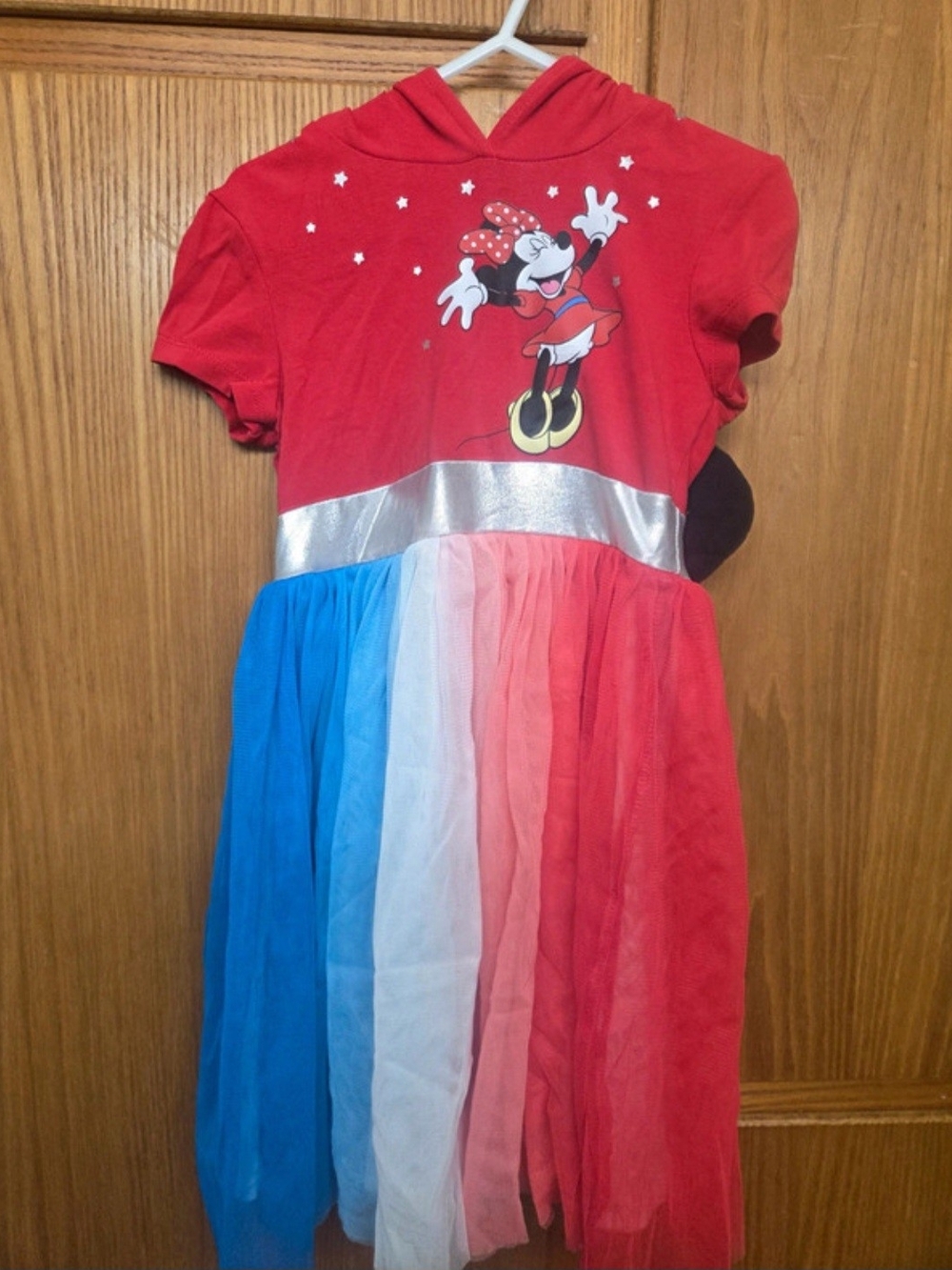 Disney Minnie Mouse Red Hooded Rainbow Tulle Kids Costume Dress